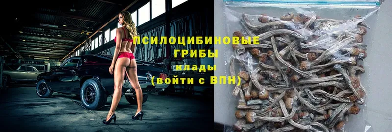 Псилоцибиновые грибы мухоморы  Любань 